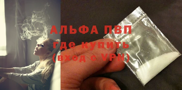 бошки Белокуриха