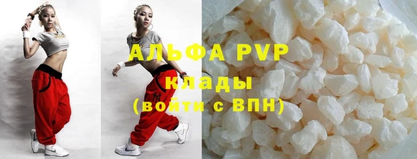 бошки Белокуриха