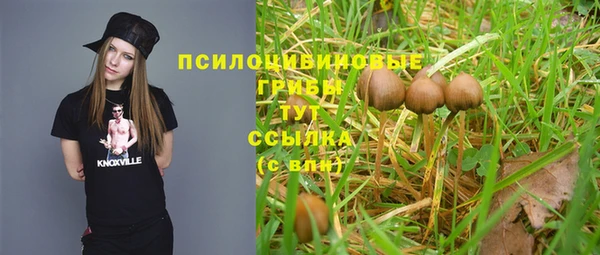 прущие крисы Беломорск