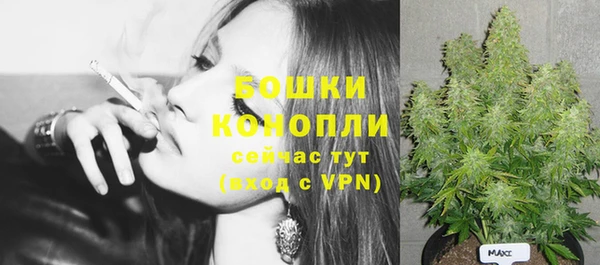 бошки Белокуриха