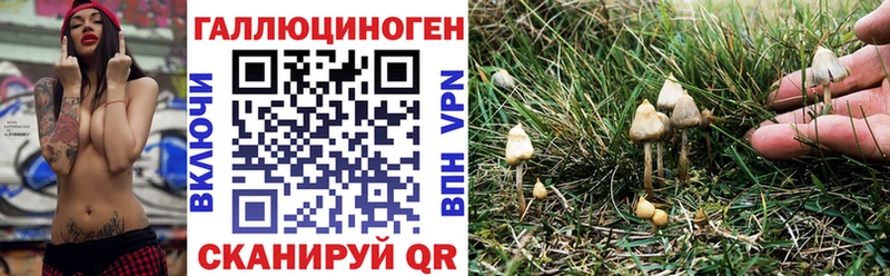 Псилоцибиновые грибы GOLDEN TEACHER  Заозёрный 