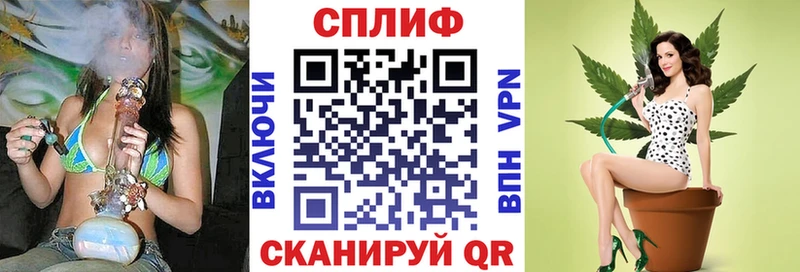 shop какой сайт  Заозёрный  Шишки марихуана ГИДРОПОН  как найти наркотики 